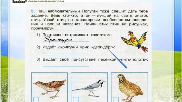 Задание 5 Жизнь луга - Окружающий мир 4 класс (Плешаков А.А.) 1 часть смотреть онлайн