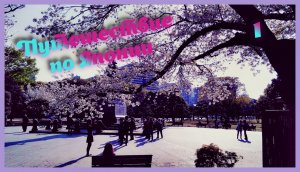 Сид и Макс +100500 / Путешествие по Японии | День 1 [Moran Day 80]