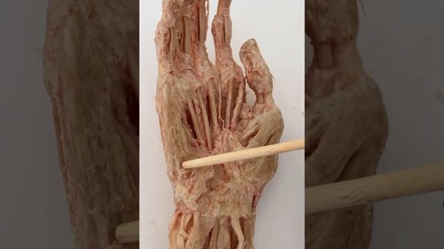 6 марта 2023 г. смотреть онлайн