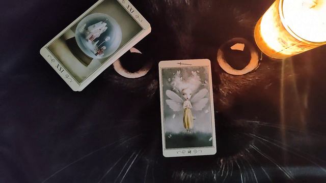 Паж Мечей.Николетта Чекколи #таро #школатаро #обучениетаро