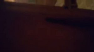 Отдых на базе отдыха "Старая Волга" г. Астрахань