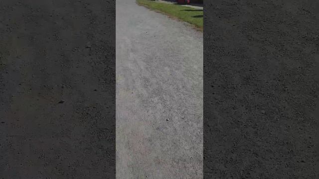 Прогулка по крепости да и по музею по второму этажу в США в штате Вермонте 16 октября 2022 года смотреть онлайн