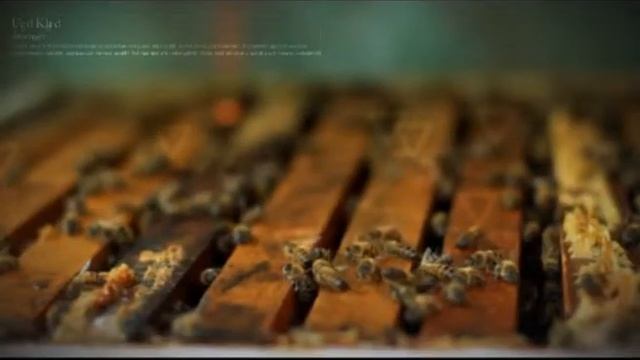 Серия "Домашняя аптечка" смотреть онлайн