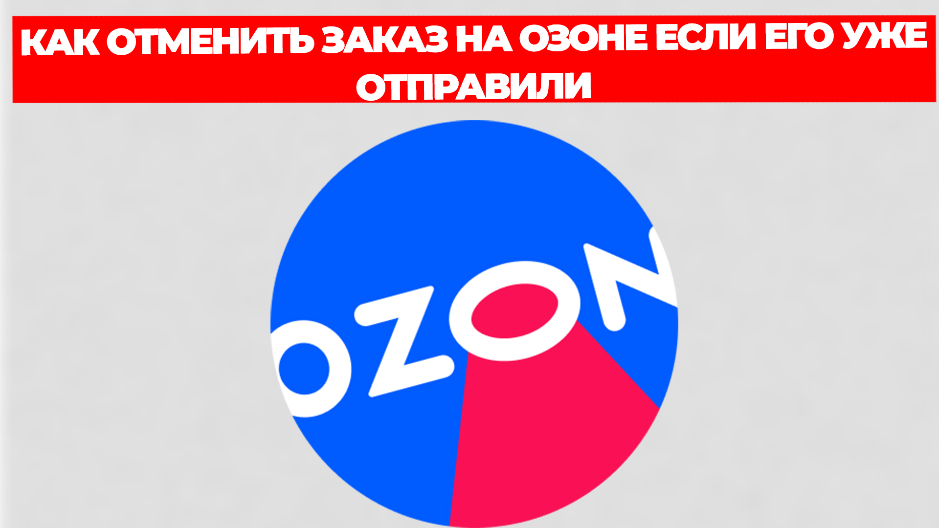 Всезнающий Енот