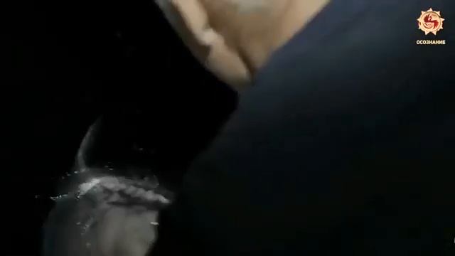 ЗАЧЕМ ПЁТР 1 ЖЕСТОКО ЗАПРЕТИЛ АМАРАНТ НАСТОЯЩИЙ ХЛЕБ СЛАВЯН смотреть онлайн