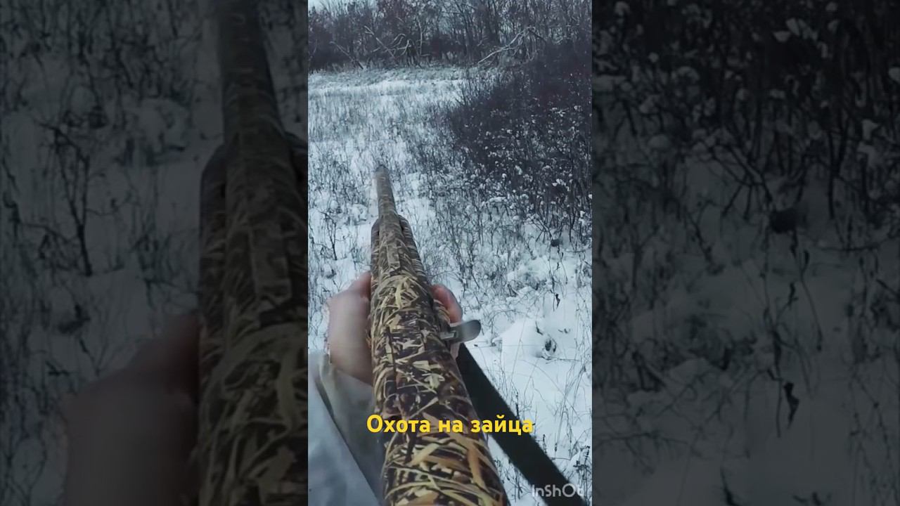 Охота на зайцев #shortvideo #охота #охотаназайца #шортс #shorts #охотавидео #maxhunter смотреть онлайн