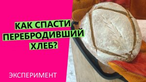 ХЛЕБ ПЕРБРОДИЛ, ??РАСПЛЫВАЕТСЯ! Что делать? | Эксперимент!