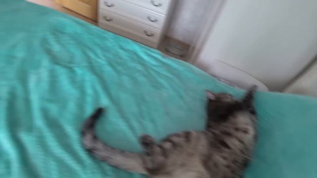 Я СОБОЙ ДОВОЛЬНА. КРЕСЛО НА МЕСТЕ. ЧИСТОТА И ПОРЯДОК! смотреть онлайн