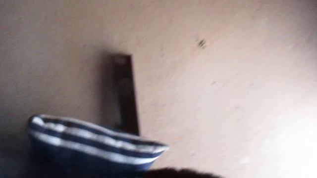 Шалаш с печкой смотреть онлайн