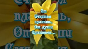 video_7719474238861.mp4