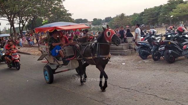 Kuda • Naik Kuda Delman Pegusuran Tanah Kusir • Naik Delman Lagu Kucing Meong Meong • Naik Kuda Pon