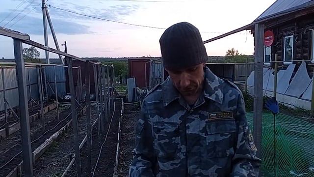 Посадка огурцов в грунт семечками! смотреть онлайн
