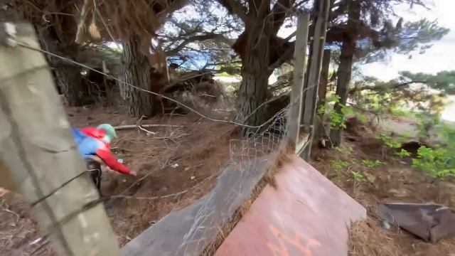 В дороге. Барилоче. Граница Аргентина–Чили. Финал чемпионата мира по футболу. смотреть онлайн