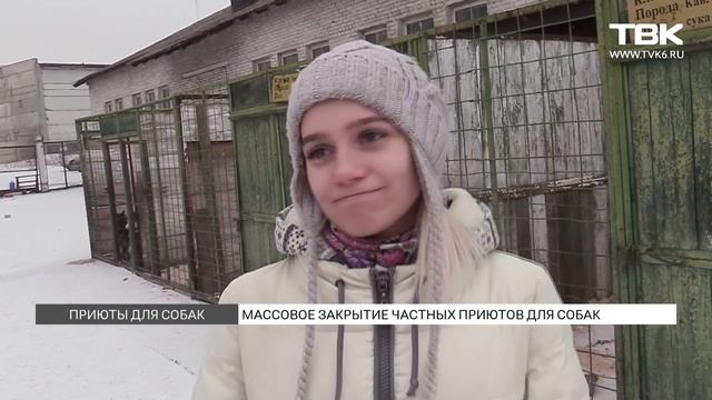 Приюты для собак. Красноярск смотреть онлайн