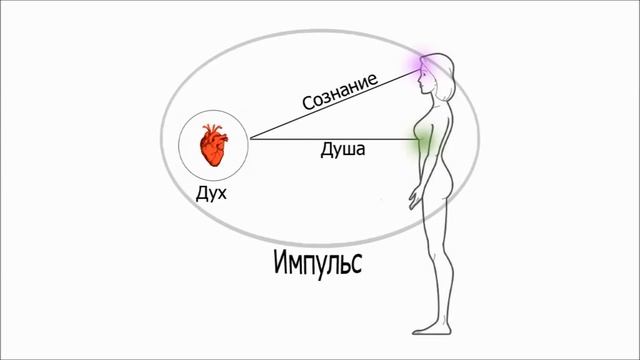 Что такое импульс в практиках Учения Древо Жизни? смотреть онлайн