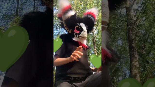 рапторы (ВИДЕО НЕ МОИ)