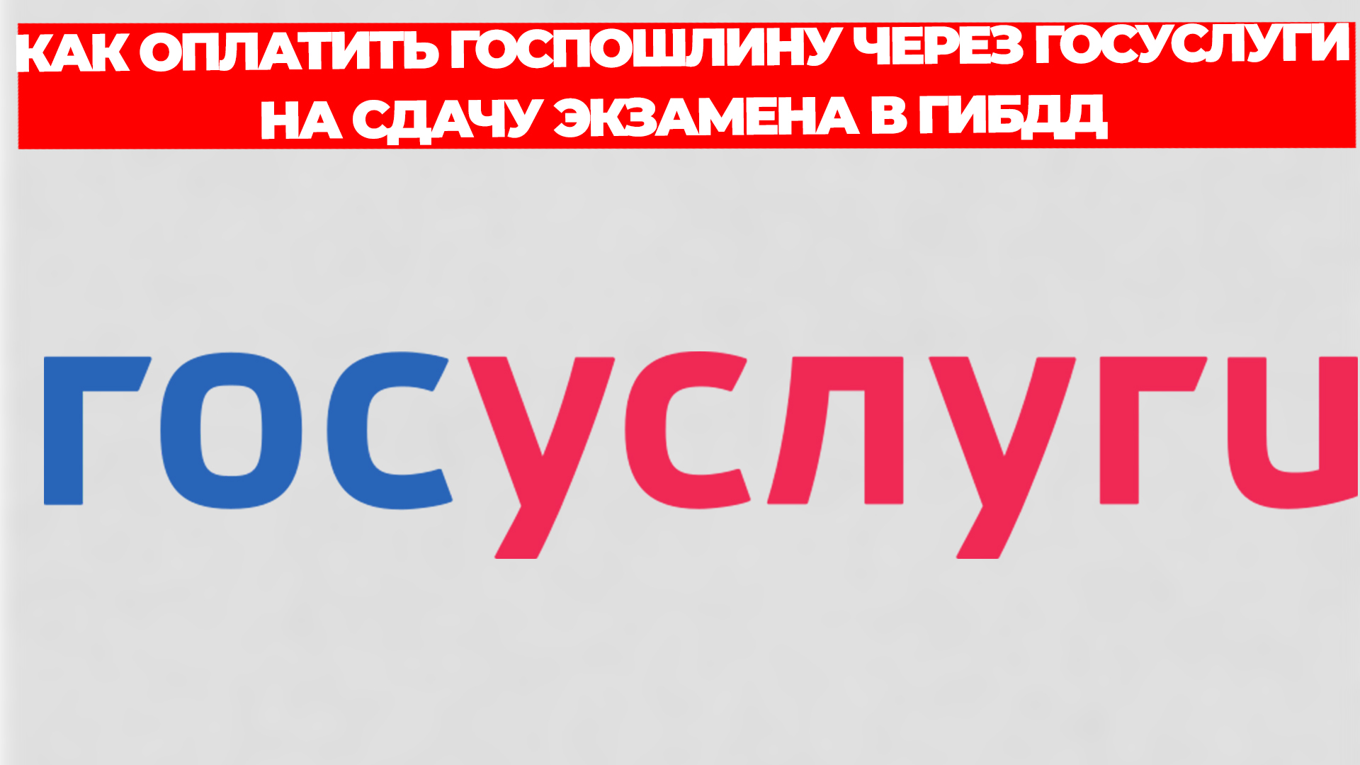 Всезнающий Енот