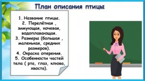 Видеоурок.1 класс. Окружающий мир. "Кто такие птицы?"
