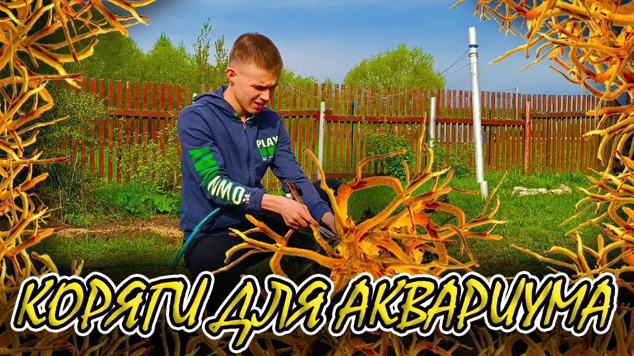 Коряга для аквариума своими руками! Совершенно бесплатно! смотреть онлайн