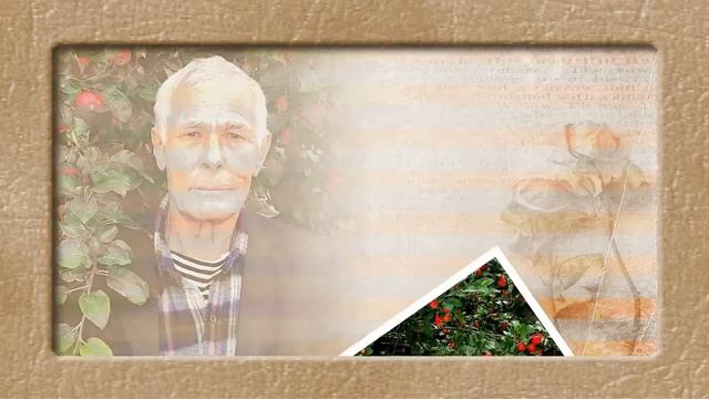 С днём рождения, папа! смотреть онлайн