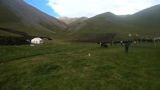 Смещение земной коры в Монголии(1) смотреть онлайн