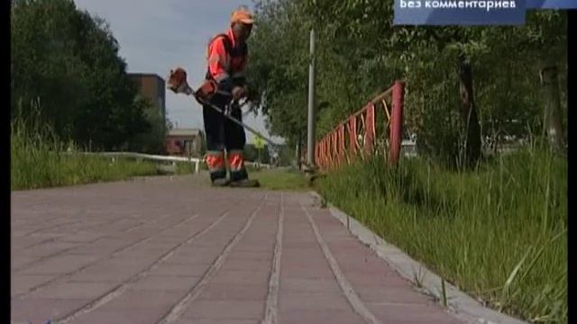 Прическа для травы 6+ смотреть онлайн
