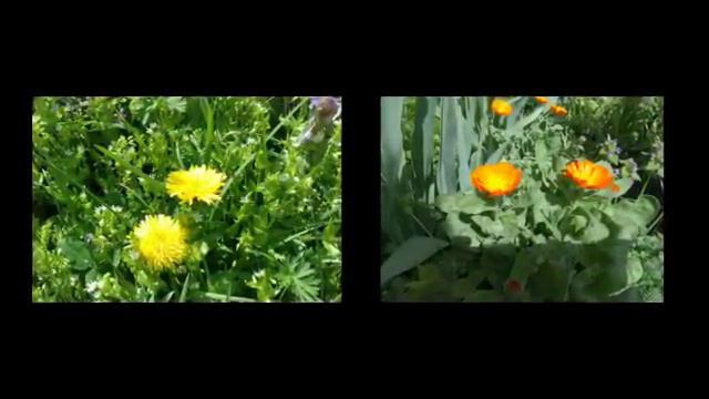 Моята пролет на село Целина смотреть онлайн