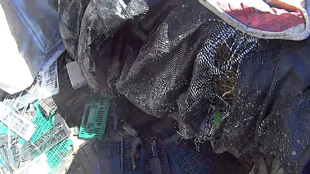 Установка Биг-бэг мешка в био верми септик 13.06.2018. 1 смотреть онлайн