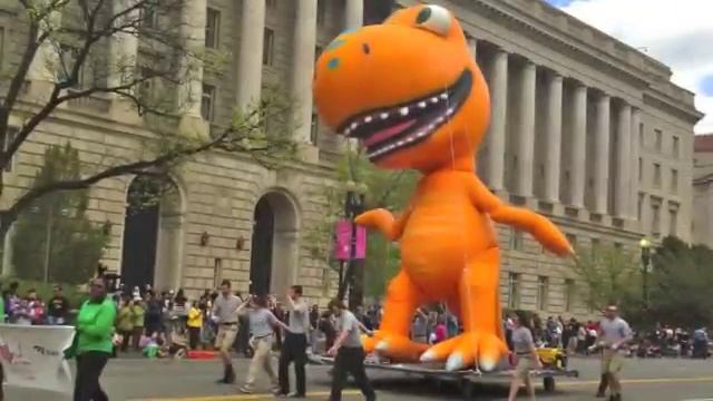 Фестиваль Cherry Blossom в Вашингтоне