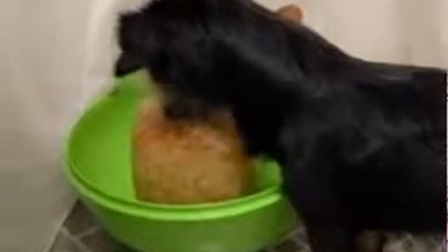 До чего же вкусная квашеная капуста смотреть онлайн