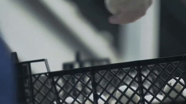 Купить свежие грибы шампиньоны оптом по доступной цене!