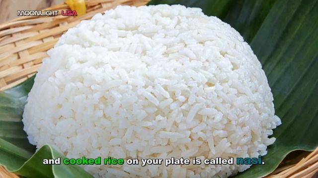 29 Interesting Facts About Indonesia смотреть онлайн