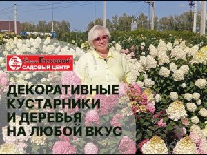 СОВРЕМЕННЫЙ САДОВЫЙ ЦЕНТР: какие кустарники и деревья сегодня в топе у профессионалов и любителей