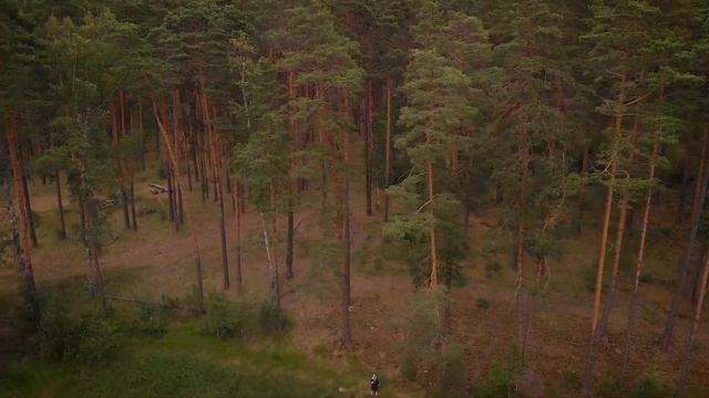 Лосиное озеро, за Тумботином смотреть онлайн