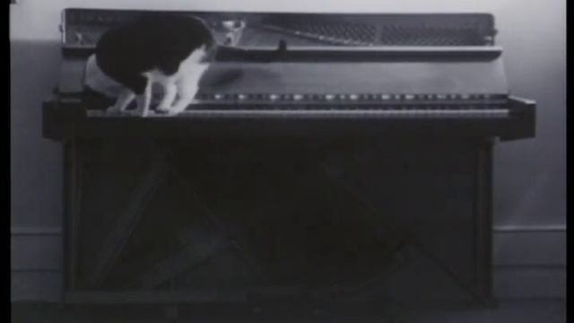 Pief смотреть онлайн
