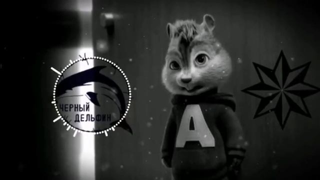 Чёрный делфин в испалнений бурундуки ? смотреть онлайн
