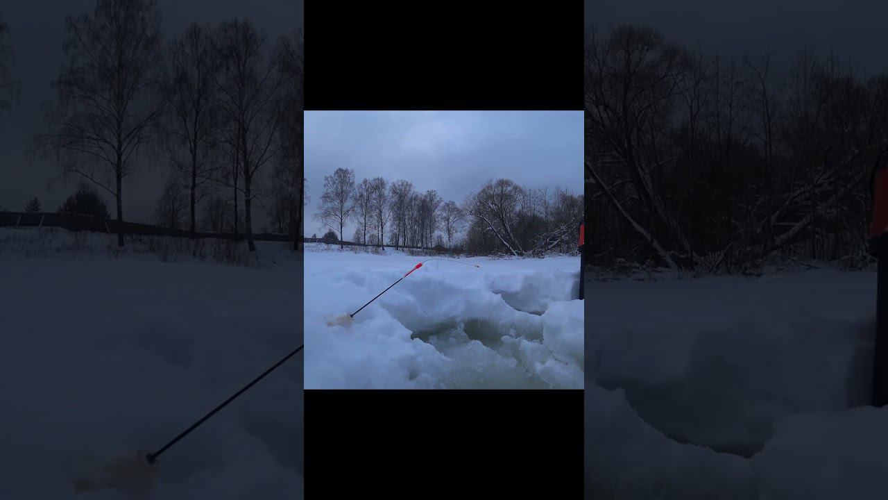Поклевки рыбы на зимнюю удочку #рыбалка #fishing #shortvideo #природа #fishingvideo смотреть онлайн
