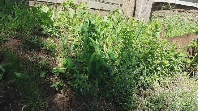 Как укрепляю склон смотреть онлайн