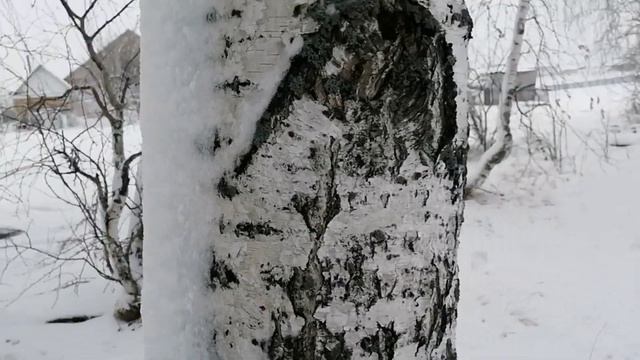 Просто, у нас сегодня наступила зима... смотреть онлайн