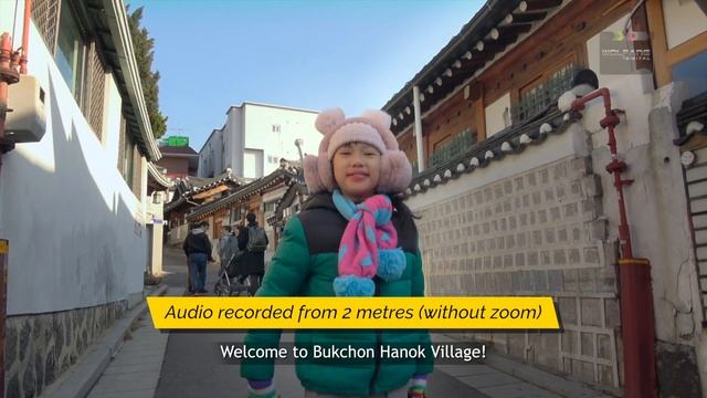 How to Vlog Your Travels / Seoul Korea / Vlog with Sony AX40 смотреть онлайн