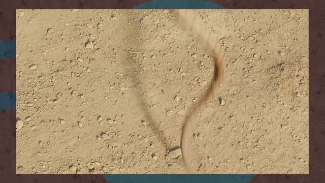 Подруга Тимати удивила подписчиков фото в хиджабе смотреть онлайн