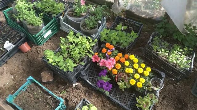 лайфхак для пересадки смотреть онлайн