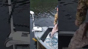 вельбот 43 и волжанка 47 заЦеп