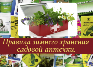 Правила зимнего хранения садовой аптечки.