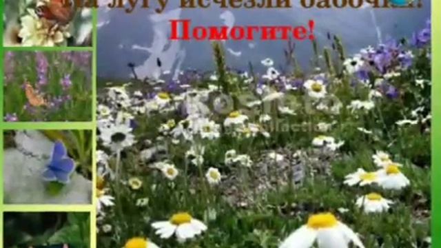 Что такое экология? смотреть онлайн