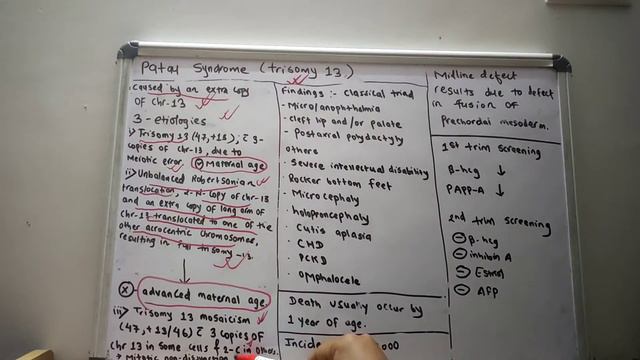 Patau Syndrome | Autosomal Trisomies | USMLE step 1 | Lecture 13 смотреть онлайн