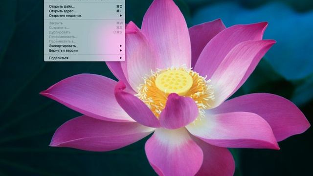 ЗАПИСЬ ВИДЕО С ЭКРАНА СО ЗВУКОМ НА MAC OS X . ЛЕГКО И БЫСТРО ! смотреть онлайн
