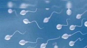 ЭРКАК СИПЕРМАСИНИ АЁЛ ЮЗИДА СУРТСА ФОЙДАЛИМИ