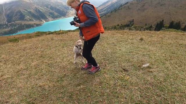 Большое Алматинское Озеро с собакой смотреть онлайн