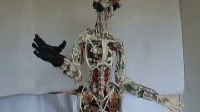 Robot with bones moves like you do смотреть онлайн